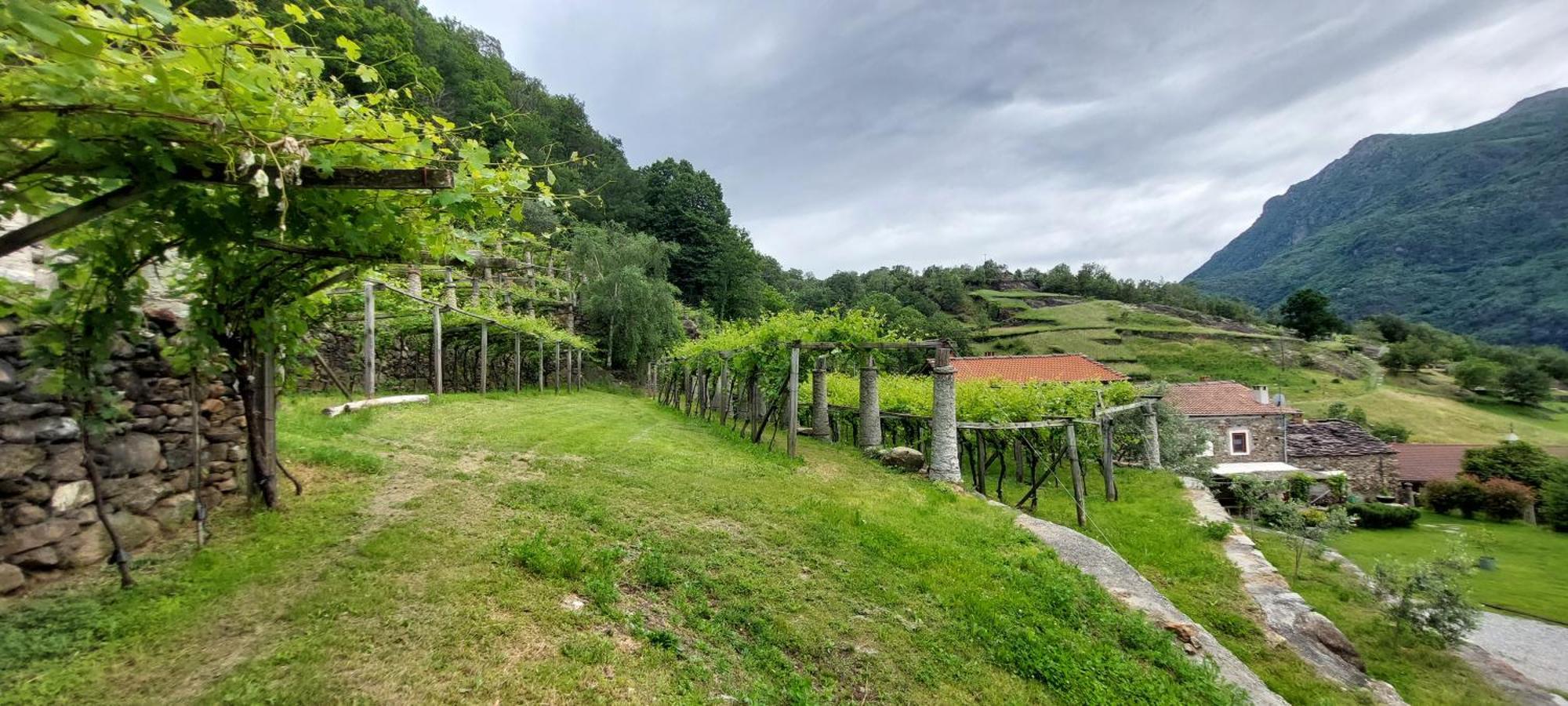Bed and Breakfast Relais del Brigante Settimo Vittone Exterior foto
